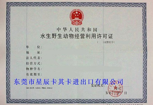 石珊瑚經(jīng)營(yíng)利用許可證及進(jìn)出口手續(xù)