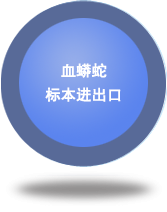 血蟒蛇標(biāo)本進出口