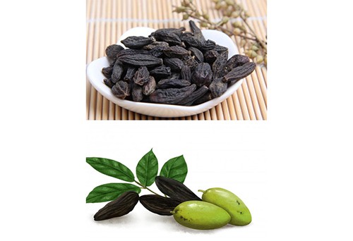 代理中藥材西青果進(jìn)出口
