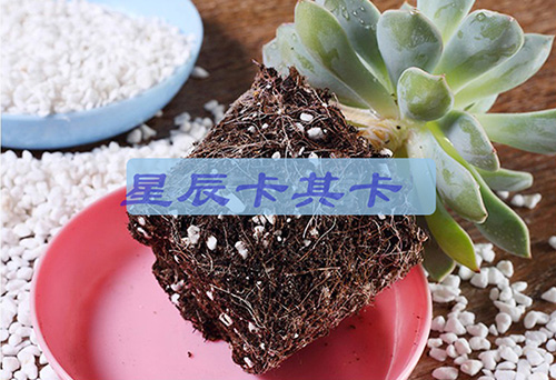 珍珠巖進(jìn)口 珍珠巖進(jìn)口