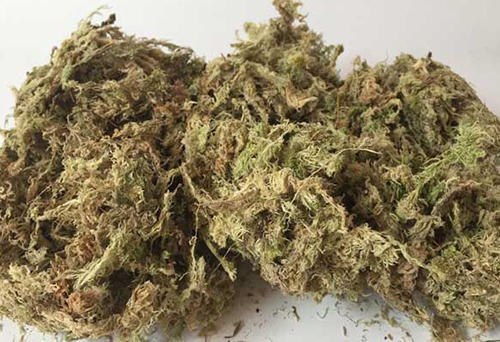 干水苔進口手續(xù)代辦